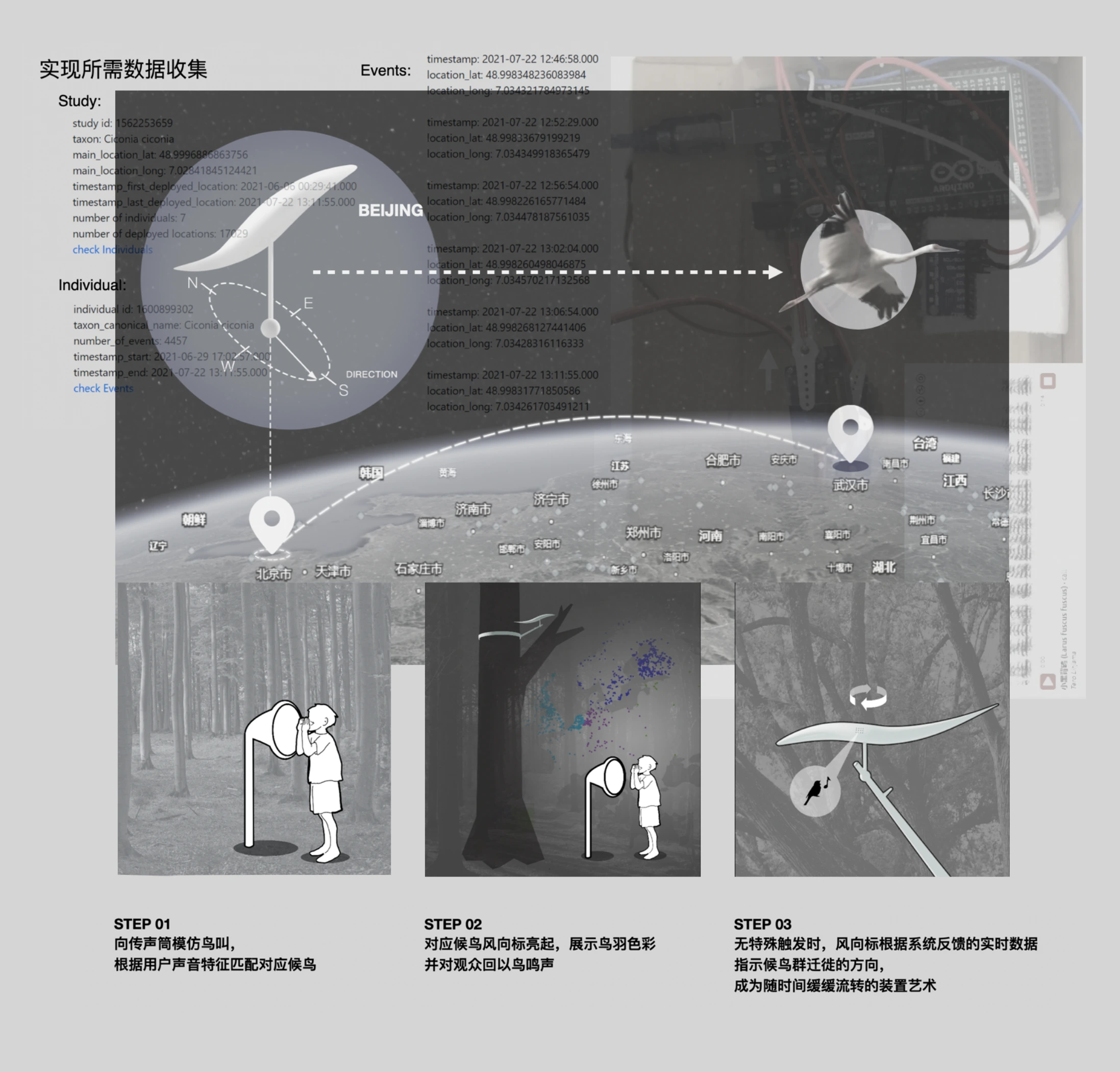 Migratory-bird data and interaction design