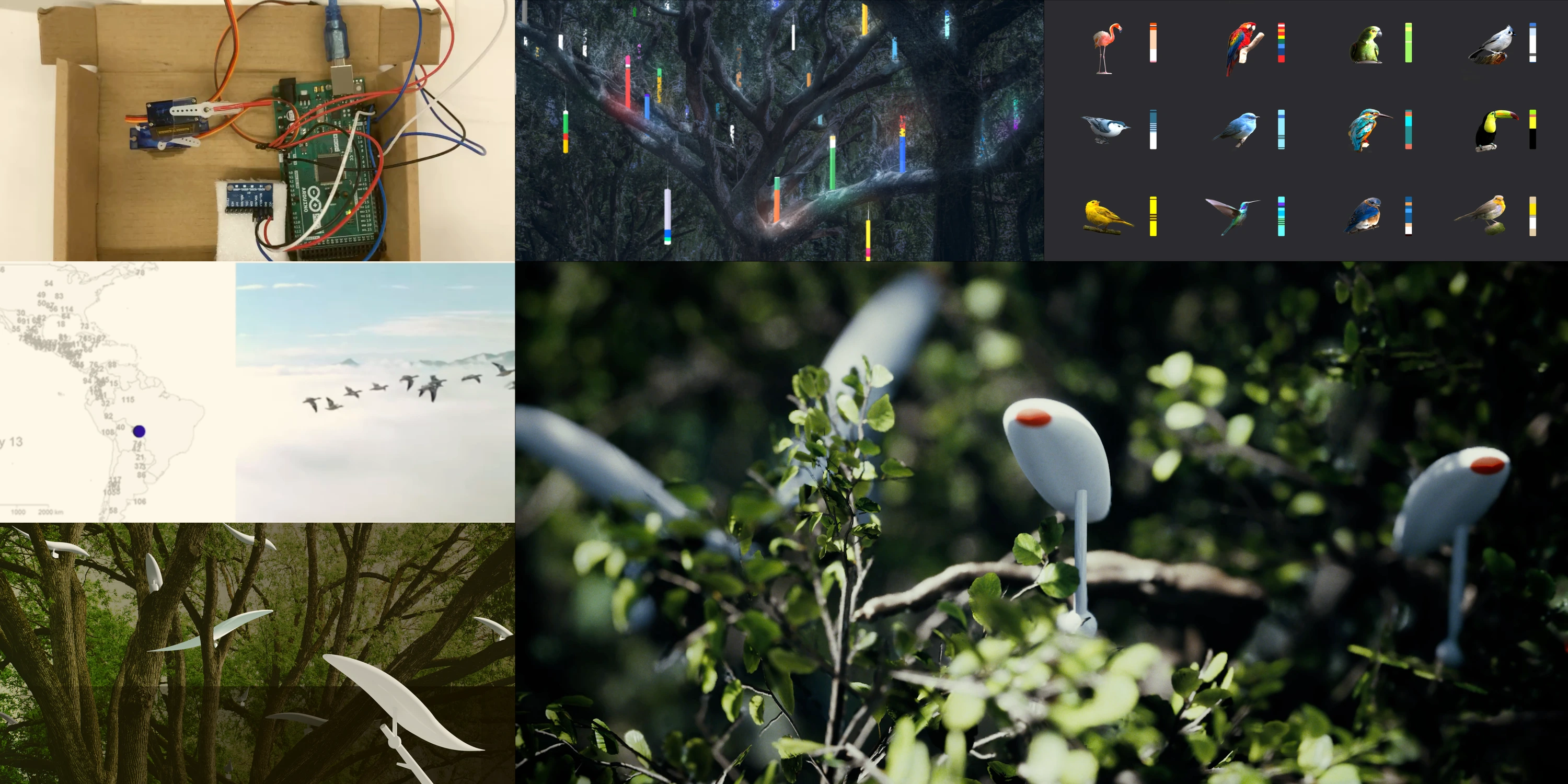 Forest of Birds